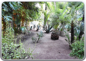 001 Jardin Majorelle (37)