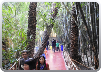 001 Jardin Majorelle (46)