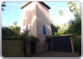 001 Jardin Majorelle (51)