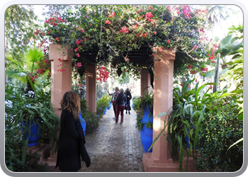 001 Jardin Majorelle (53)