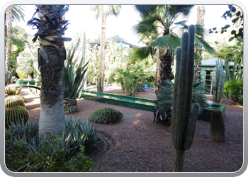 001 Jardin Majorelle (54)