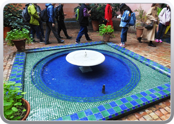 001 Jardin Majorelle (6)