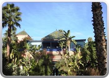 001 Jardin Majorelle (61)