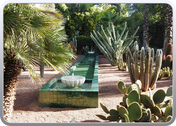 001 Jardin Majorelle (62)