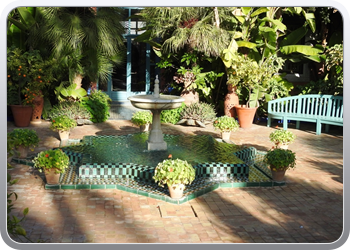 001 Jardin Majorelle (65)