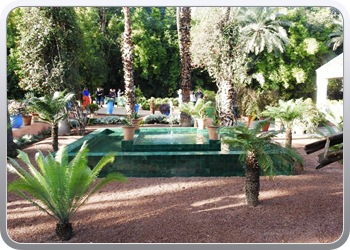 001 Jardin Majorelle (67)