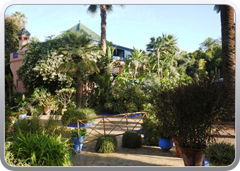 001 Jardin Majorelle (68)