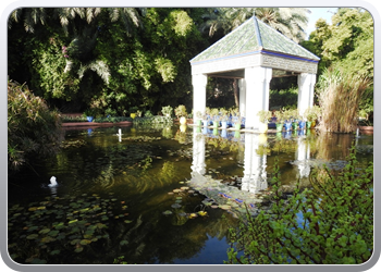 001 Jardin Majorelle (69)