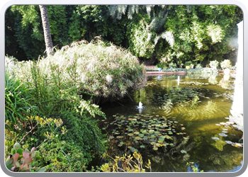 001 Jardin Majorelle (70)