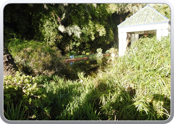 001 Jardin Majorelle (71)