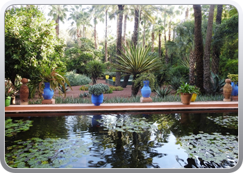 001 Jardin Majorelle (73)