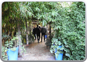 001 Jardin Majorelle (77)