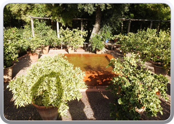 001 Jardin Majorelle (79)