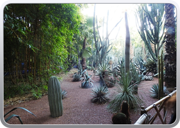 001 Jardin Majorelle (8)