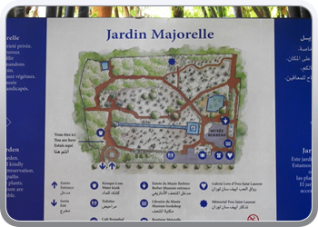 001 Jardin Majorelle (90)