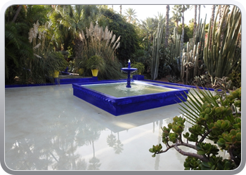 001 Jardin Majorelle (92)