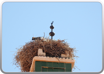 093 Ait Ben Haddou eerste verkenning (5)