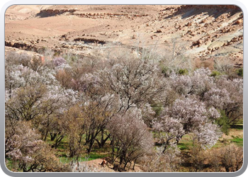 094 De omgeving van Ait Ben Haddou (20)