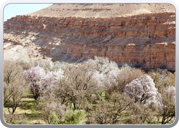 094 De omgeving van Ait Ben Haddou (21)