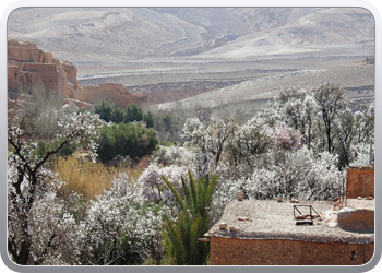 094 De omgeving van Ait Ben Haddou (22)