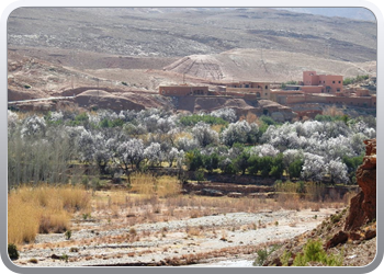 094 De omgeving van Ait Ben Haddou (24)