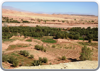 094 De omgeving van Ait Ben Haddou (40)