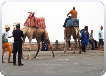 201 Uitstap naar de oude kashbah van Agadir (2)