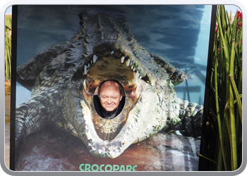 1 crocopark (92)