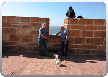 038 Essaouira (4)