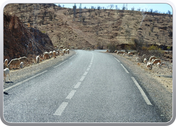 041 Op weg naar Tafroute (8)