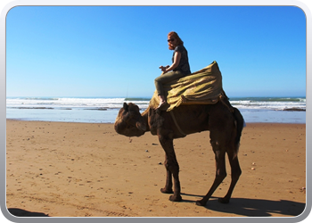 077 Kamelentocht op het strand van Lezgane (10)