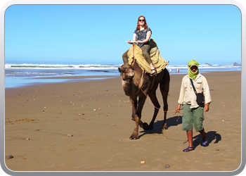 077 Kamelentocht op het strand van Lezgane (15)