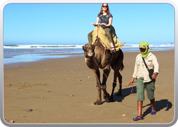 077 Kamelentocht op het strand van Lezgane (16)