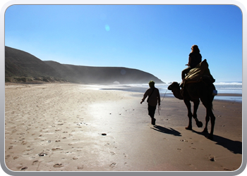 077 Kamelentocht op het strand van Lezgane (18)