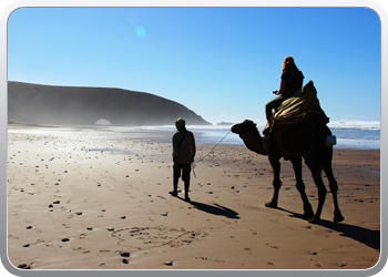 077 Kamelentocht op het strand van Lezgane (20)