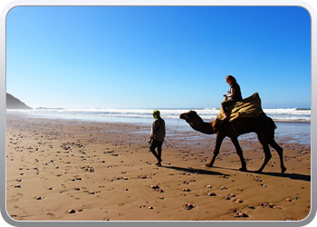 077 Kamelentocht op het strand van Lezgane (21)