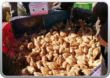 080b Zondagmarkt in Taroudant (22)03