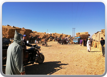 080b Zondagmarkt in Taroudant (22)15