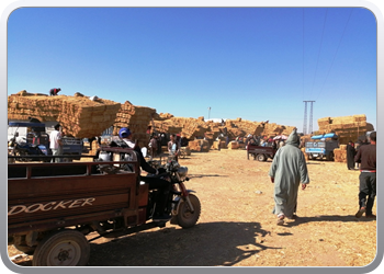 080b Zondagmarkt in Taroudant (22)16