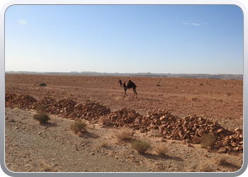 120 De route van Boudnib naar Mengoub (11)