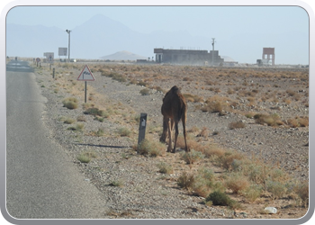 124 Mengoub tot Bouarfa (4)