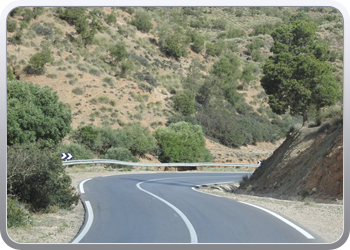 138 Het landschap wordt groener richting Oujda (5)