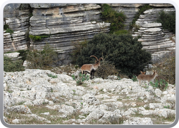 022 El Torcal (13)