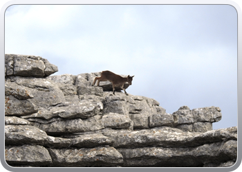 022 El Torcal (3)