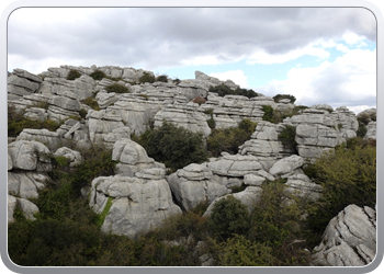 022 El Torcal (8)