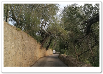 012 De waterval in de buurt van Tavira (3)