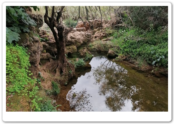 012 De waterval in de buurt van Tavira (9)