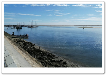 013 Markt in Olhao (8)