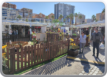 016 Cultuurmarkt op zondag in Malaga (2)